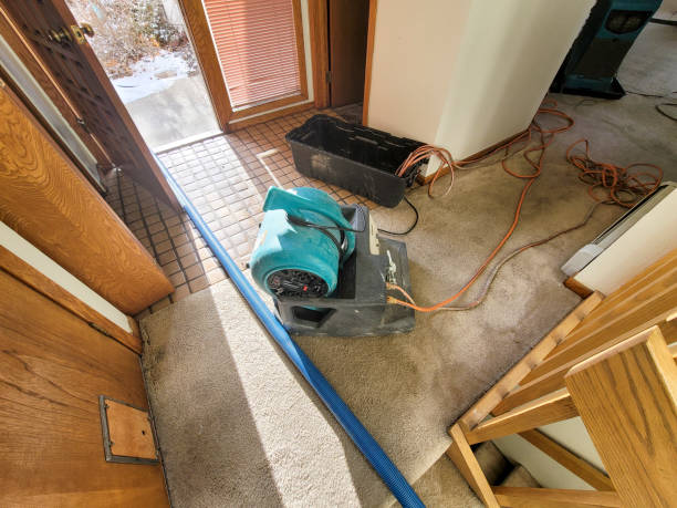 Best Professional water damage repair  in Owosso, MI
