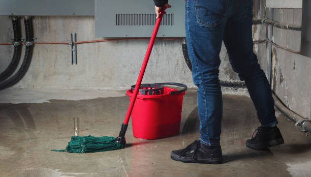 Best Emergency water damage restoration  in Owosso, MI