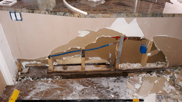 Best Water damage mitigation services  in Owosso, MI