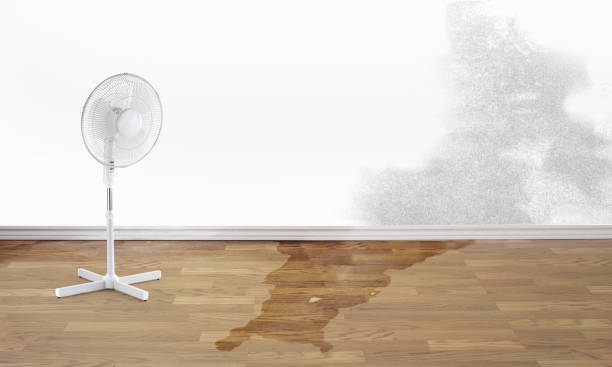 Best Fire Damage Restoration  in Owosso, MI