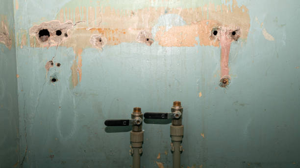 Best Water damage repair service  in Owosso, MI