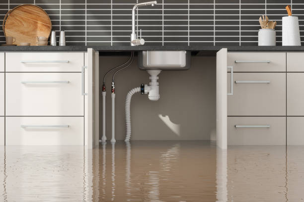 Best 24/7 water damage repair  in Owosso, MI